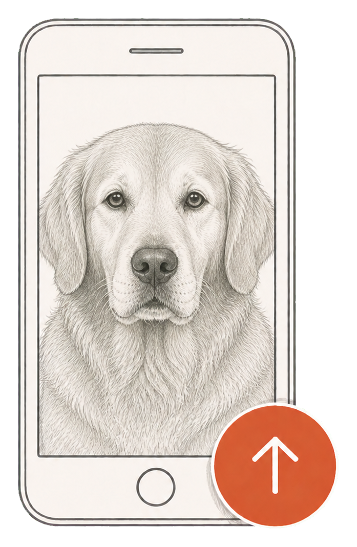 A clear pet photograph ready to upload for a personalized portrait