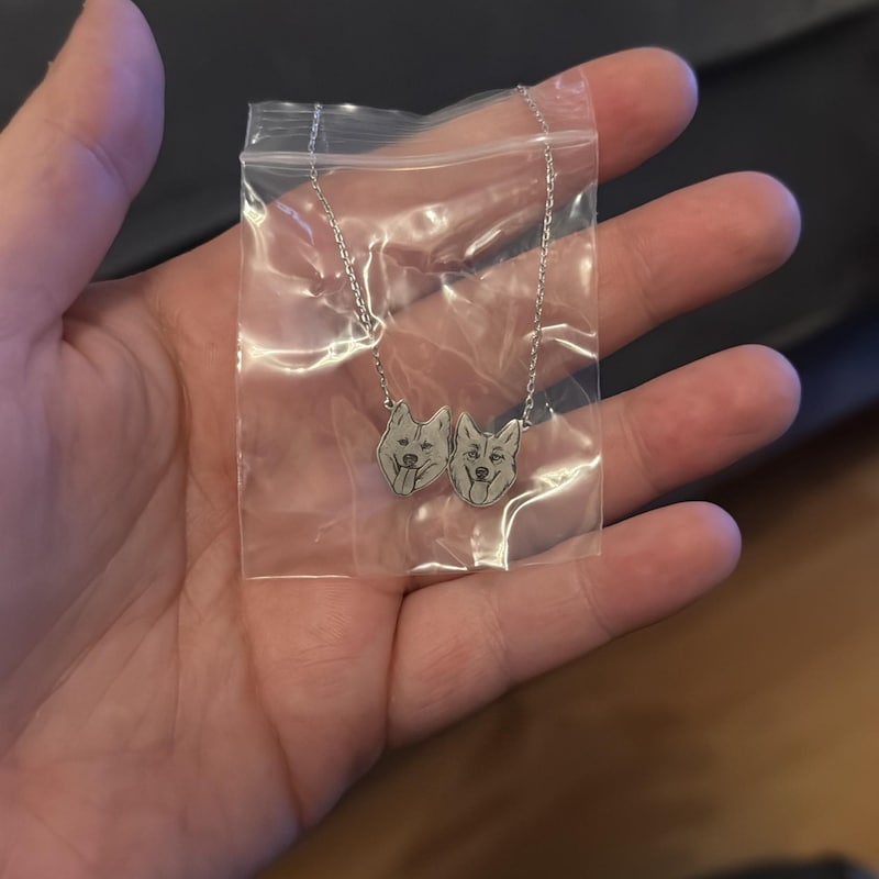 Erika's two-pet portrait necklace review photo